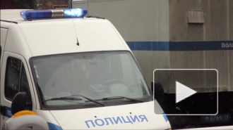 В Кемеровской области собака 10 дней охраняла убитого ножом хозяина и привлекала внимание лаем